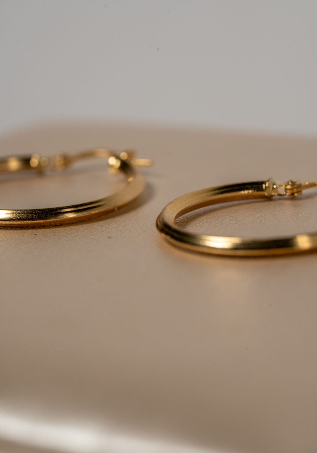 CANDONGAS CON PERFIL