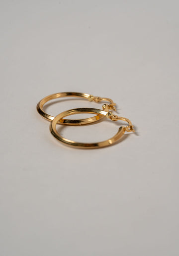 CANDONGAS CON PERFIL