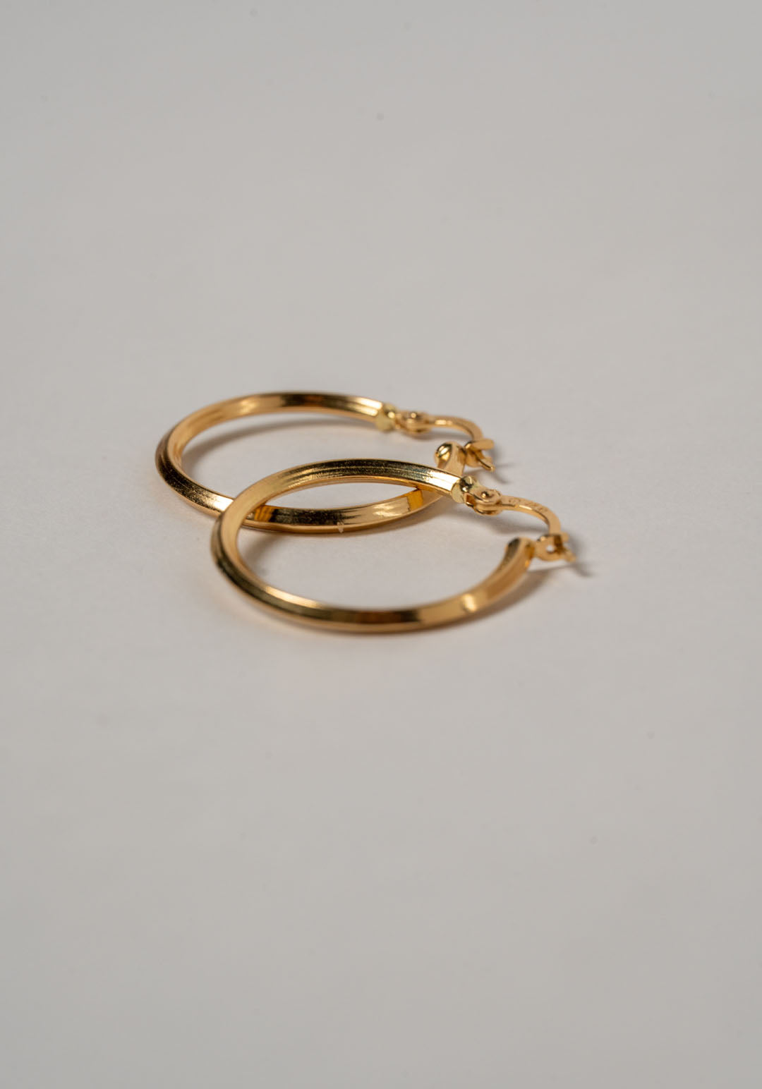 CANDONGAS CON PERFIL