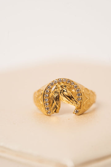 Anillo De Caballo Con Circones