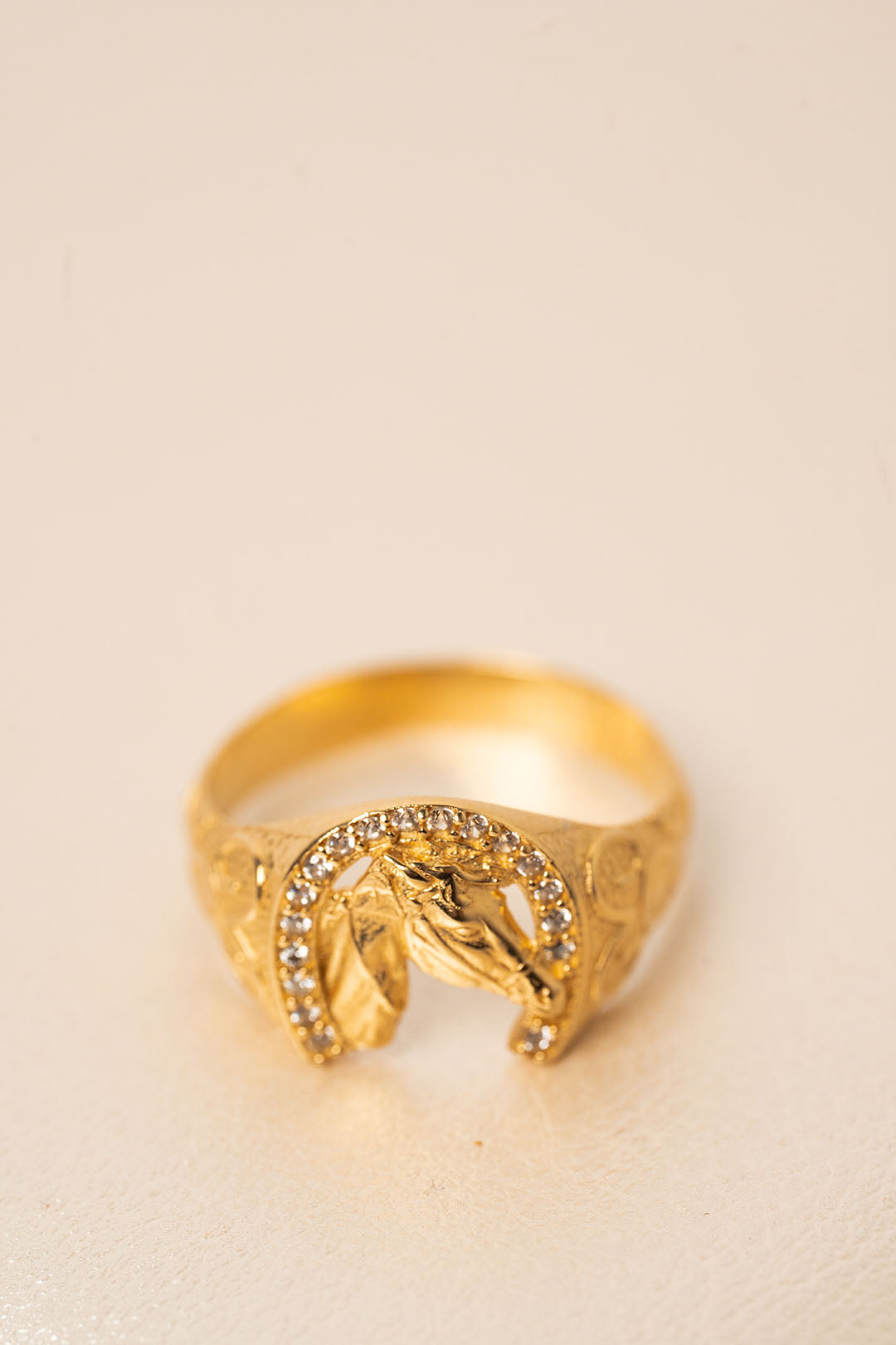 Anillo De Caballo Con Circones