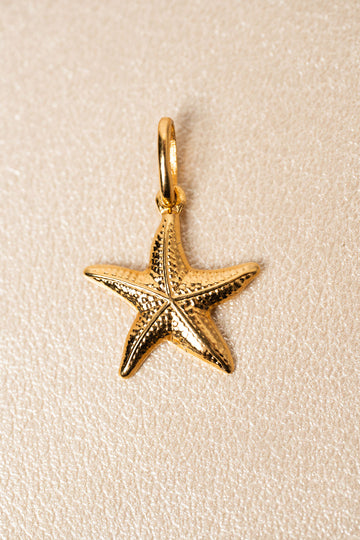Dije Estrella de Mar